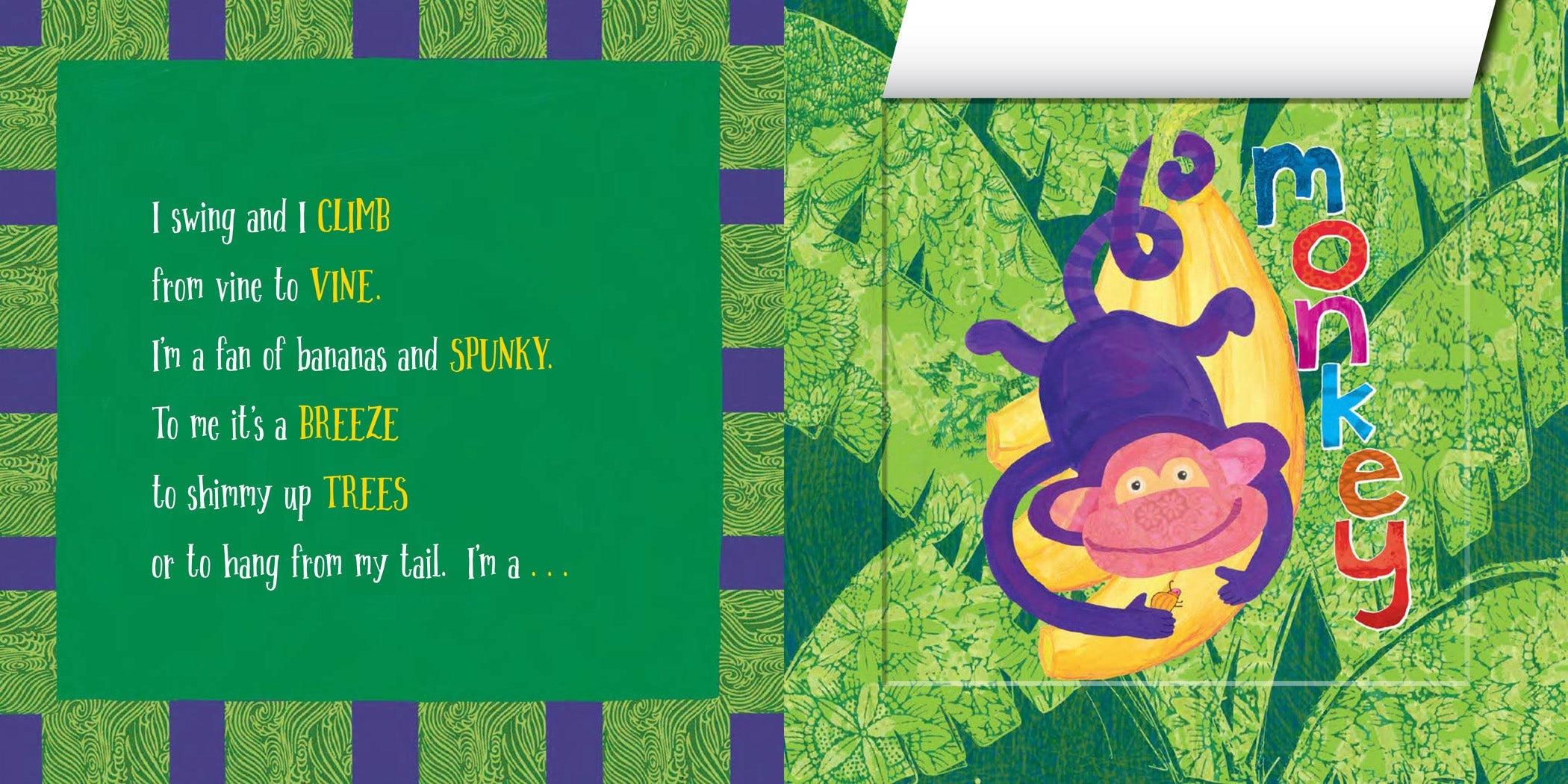 Riddle Diddle Rainforest β The Creative Company