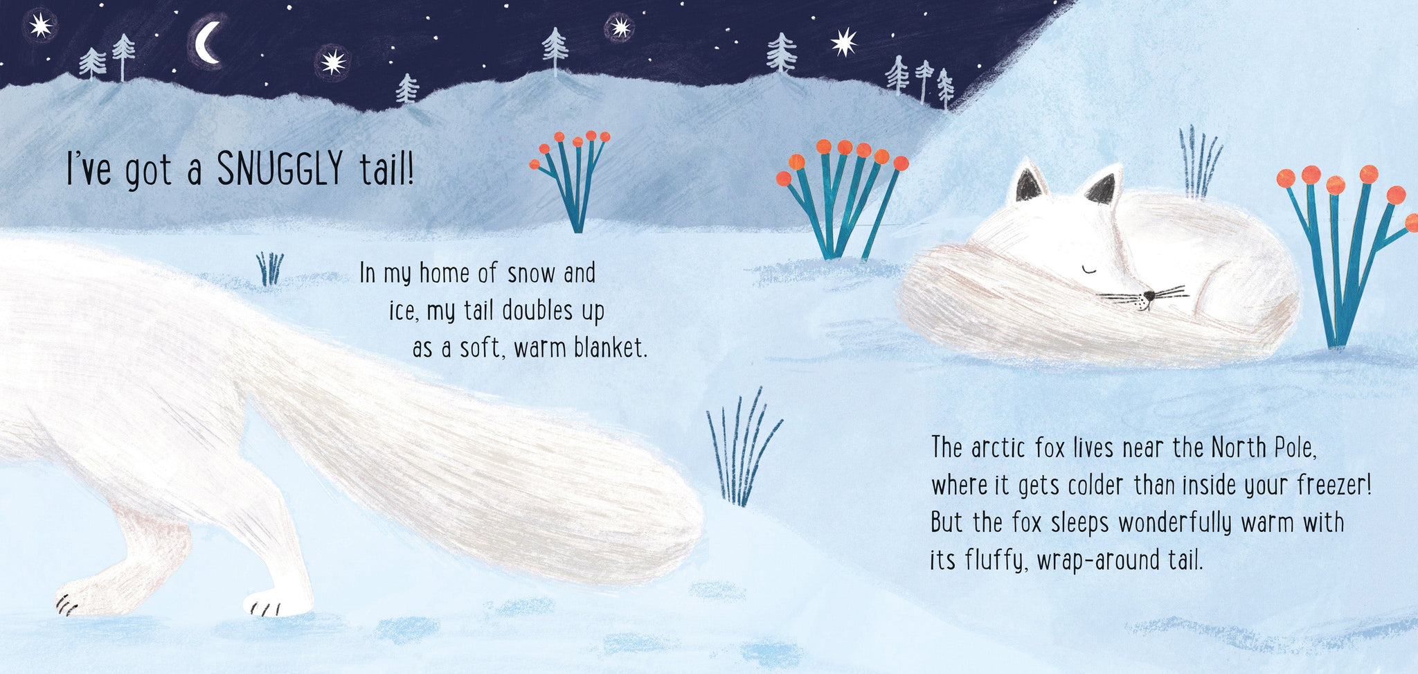 I've Got a Tail! – The Creative Company