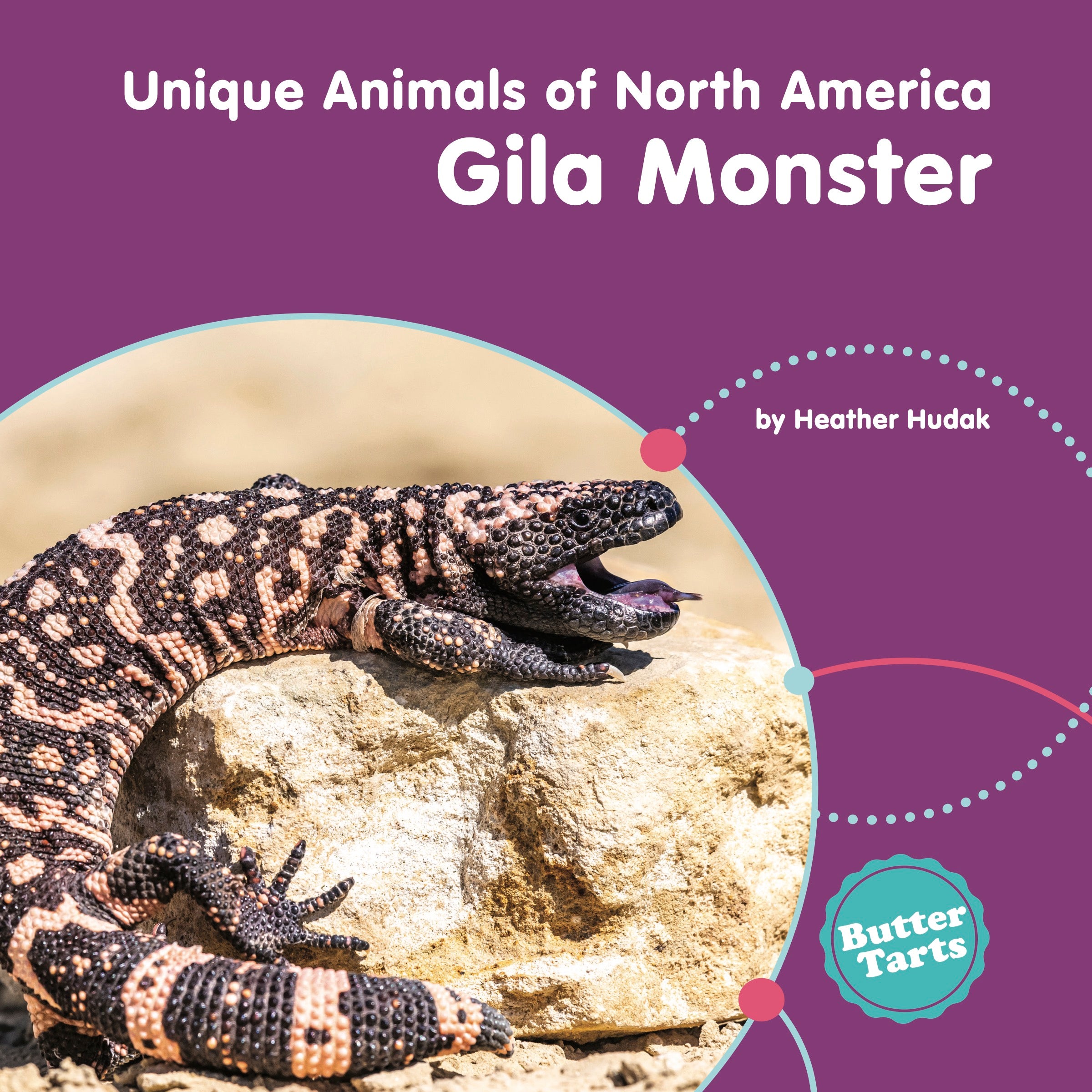 big nick & the gila monsters Gila Monster – The Creative Company