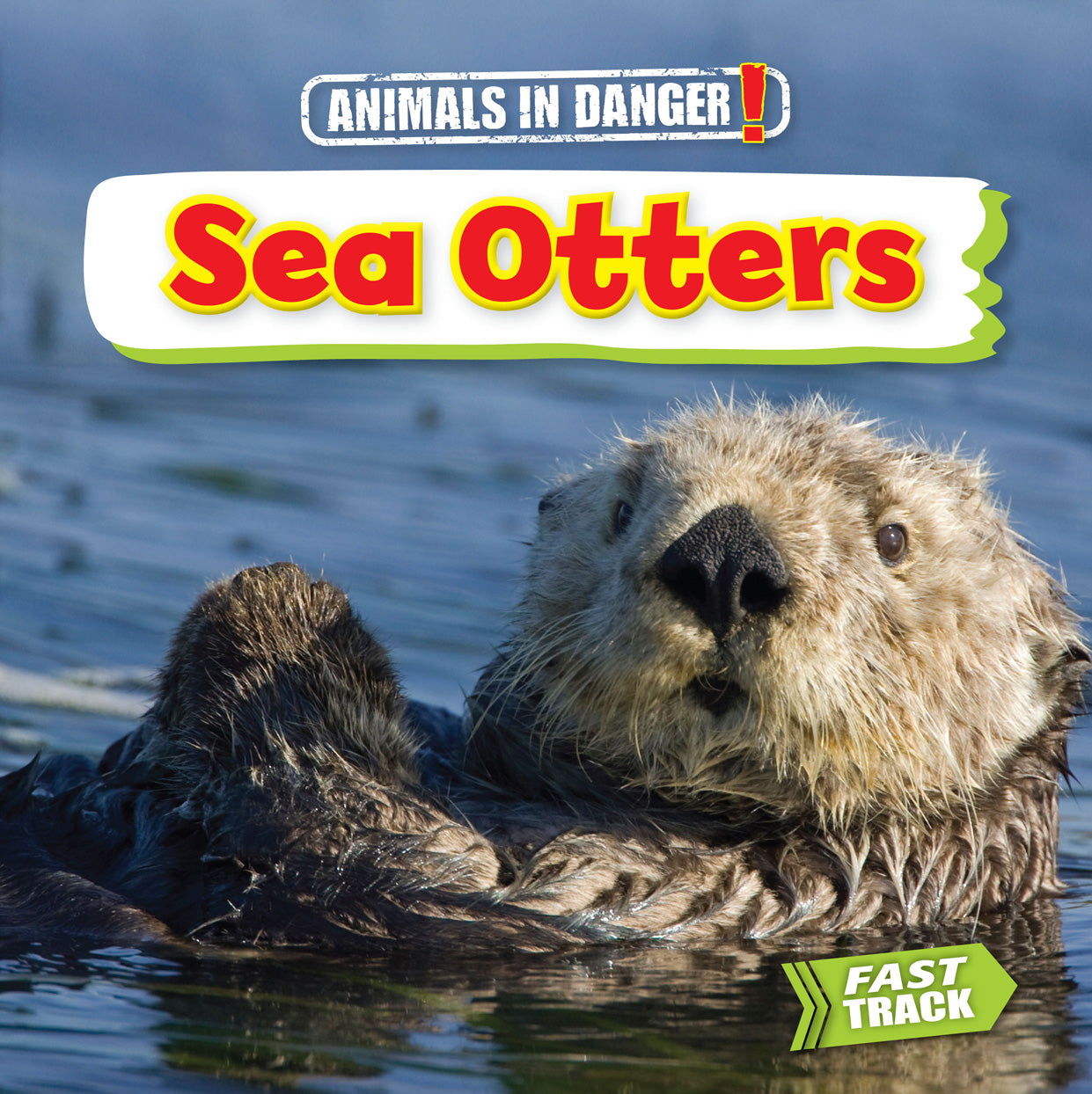 sea otter ページ Sea Otters – The Creative Company