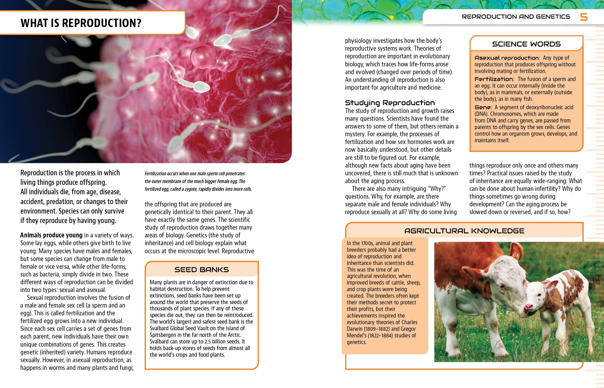 Generative Reproduction Reproduction and Genetics – The Creative Company