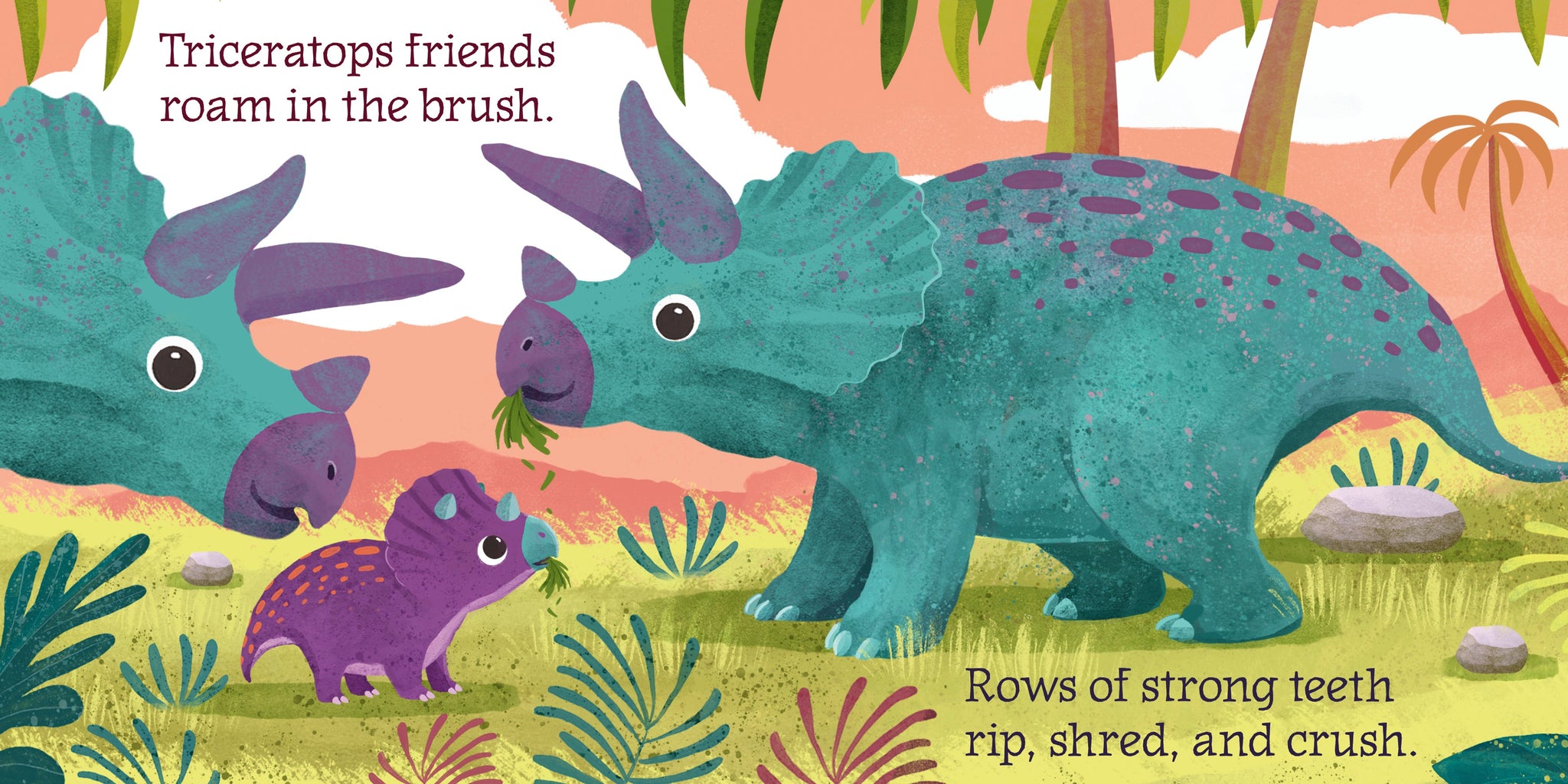 Baby Triceratops – The Creative Company