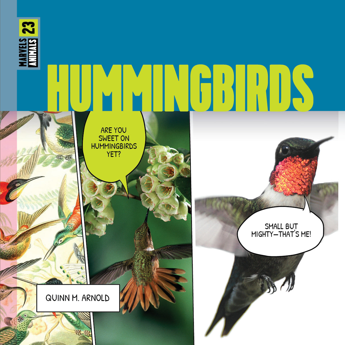 Hummingbirds – The Creative Company