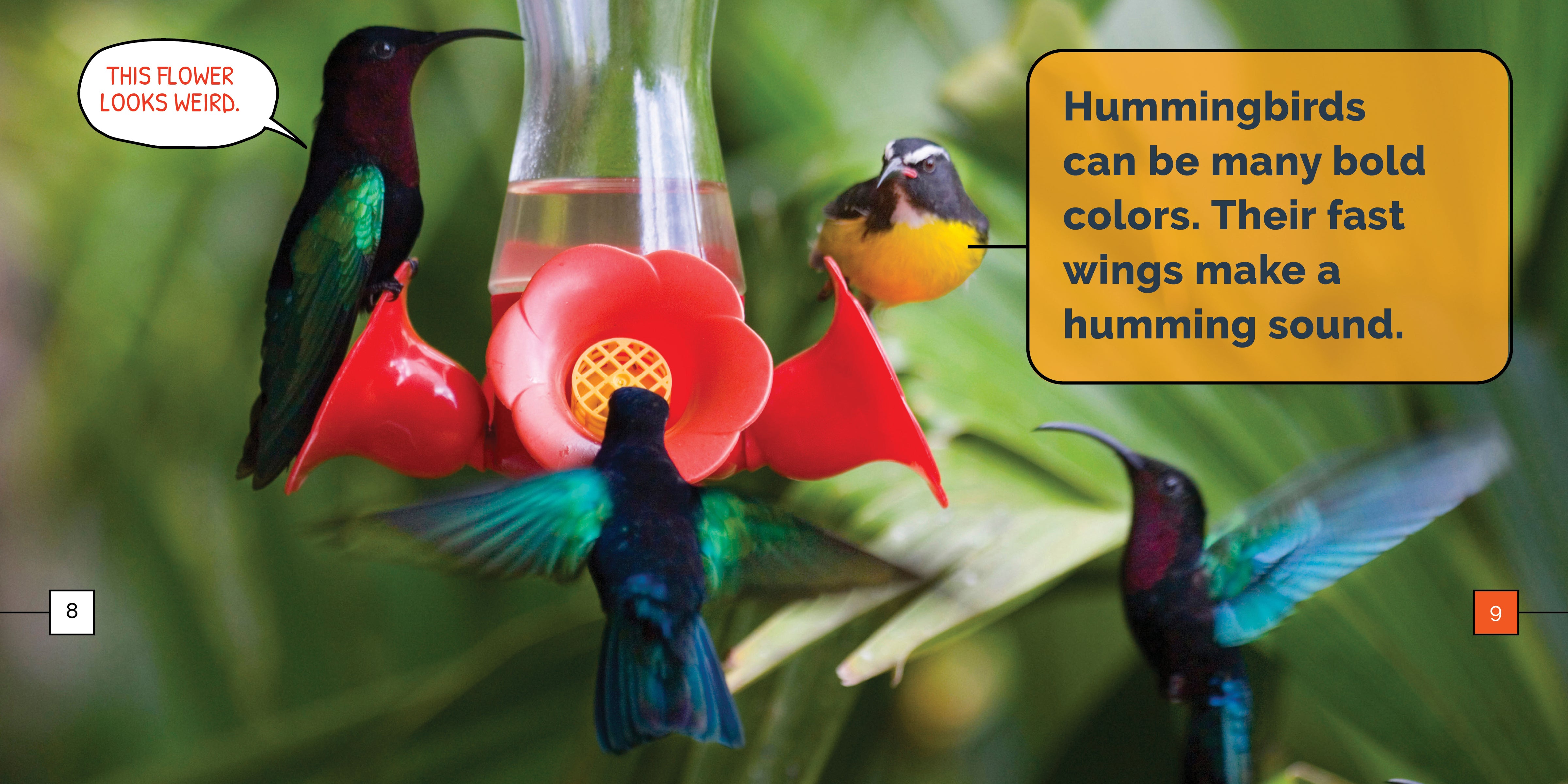 1:12 Scale Miniature Readable Book – Hummingbirds – Little Things Of Interest