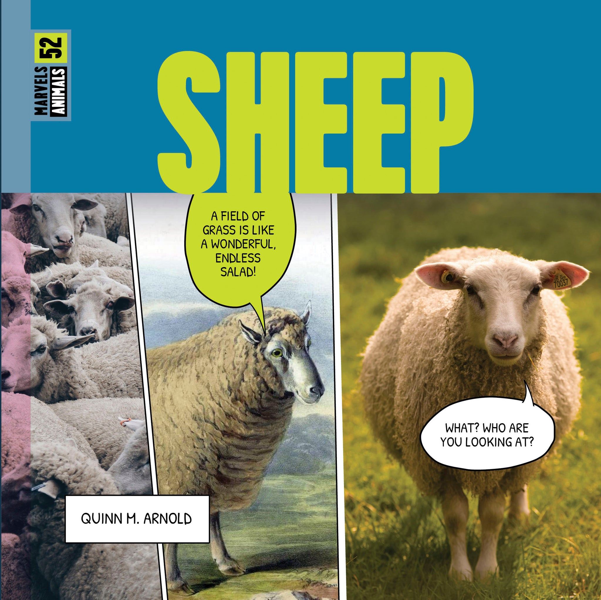 Sheep – The Creative Company