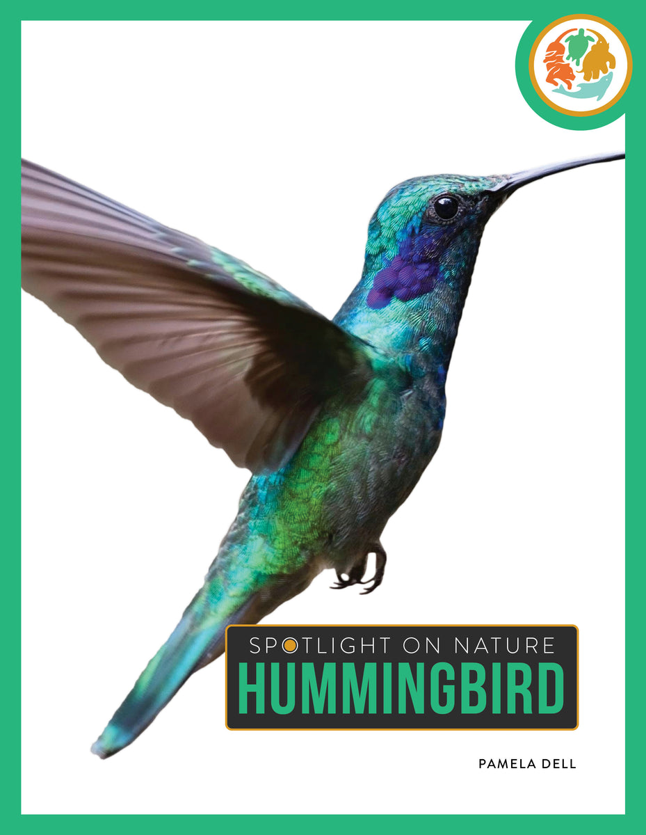 Hummingbird – The Creative Company
