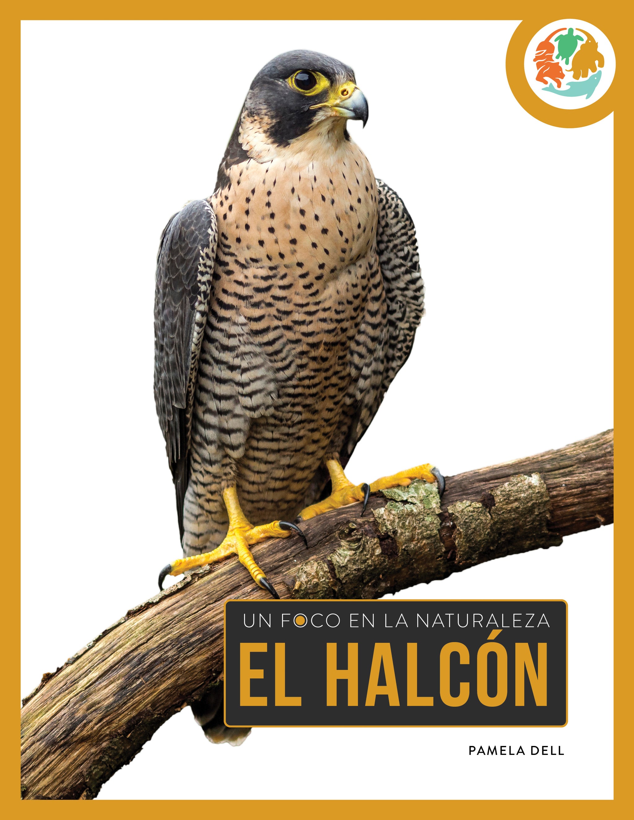 El halcón – The Creative Company