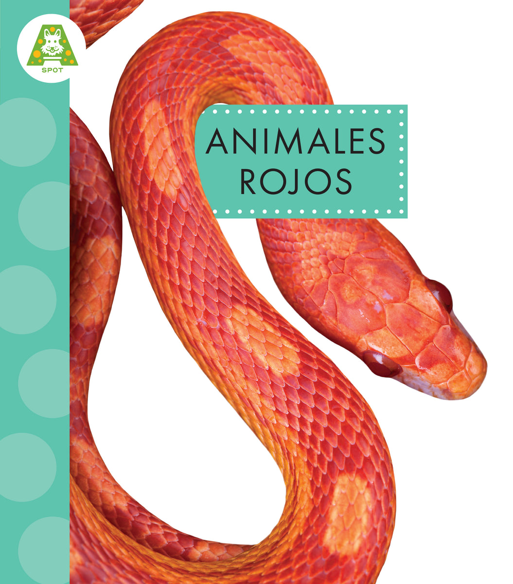 Animales rojos – The Creative Company