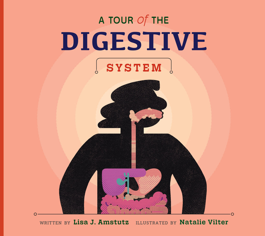 A Tour of the Digestive System – The Creative Company