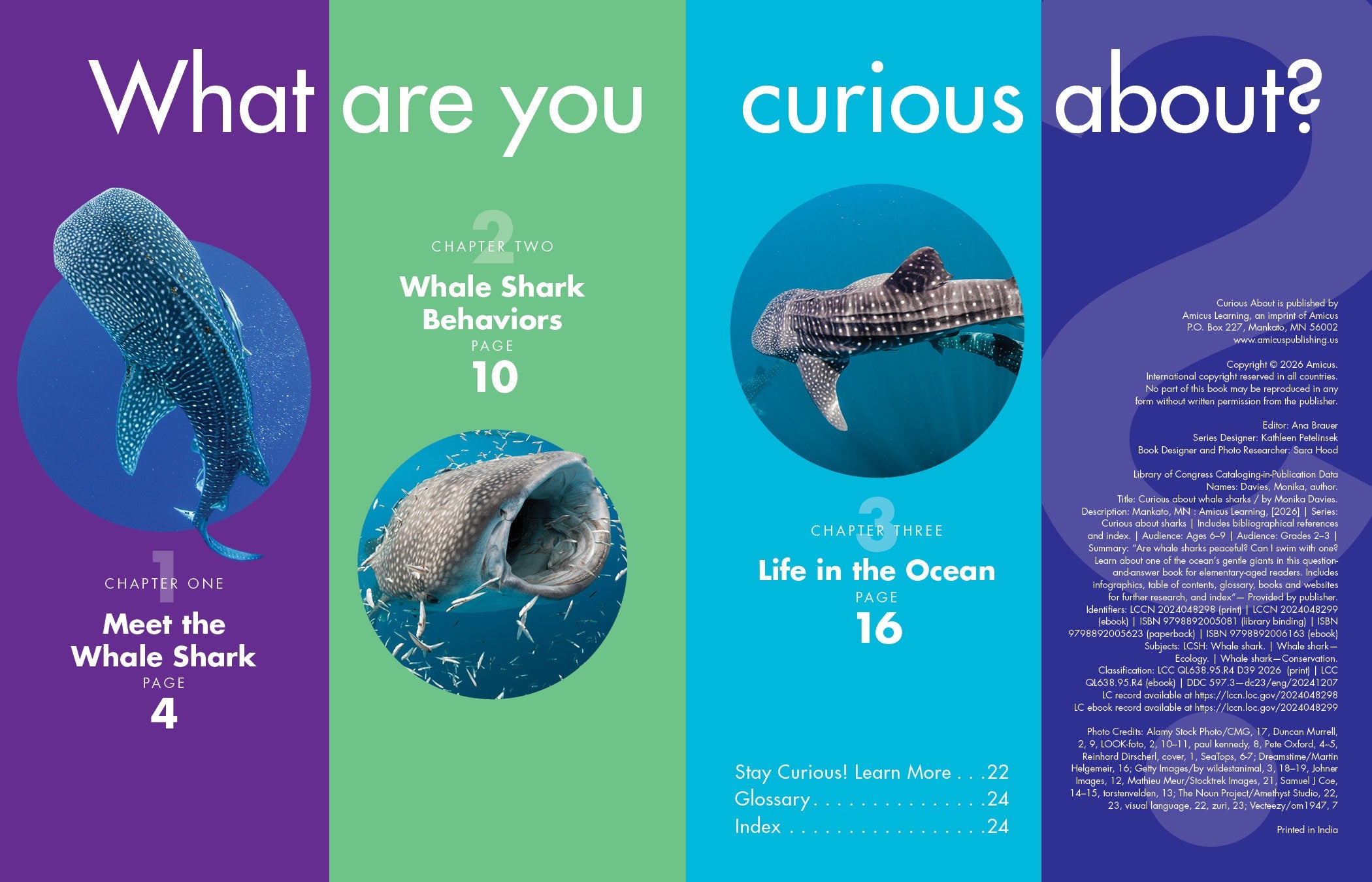 What I Learned After Publishing 10 Books Without a Publisher: Insider Secrets Revealed