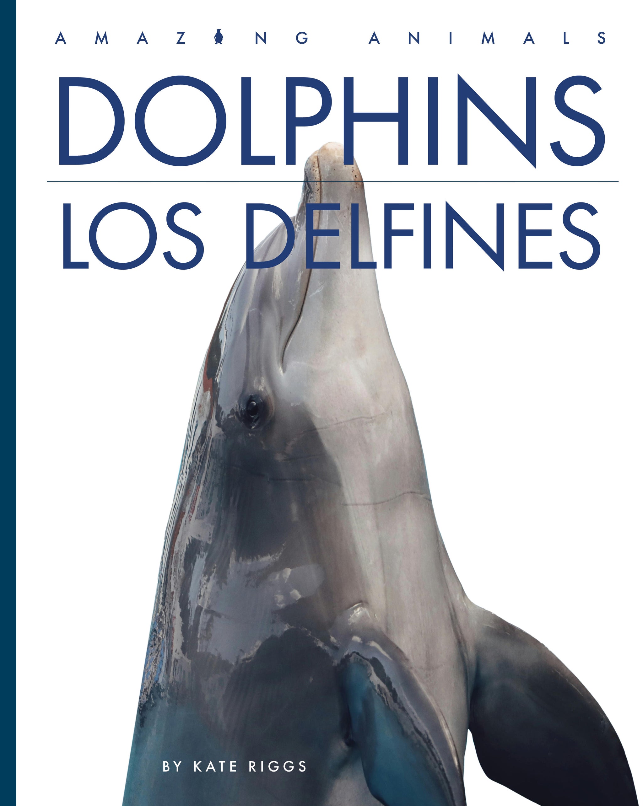 Dolphins / Los delfines – The Creative Company