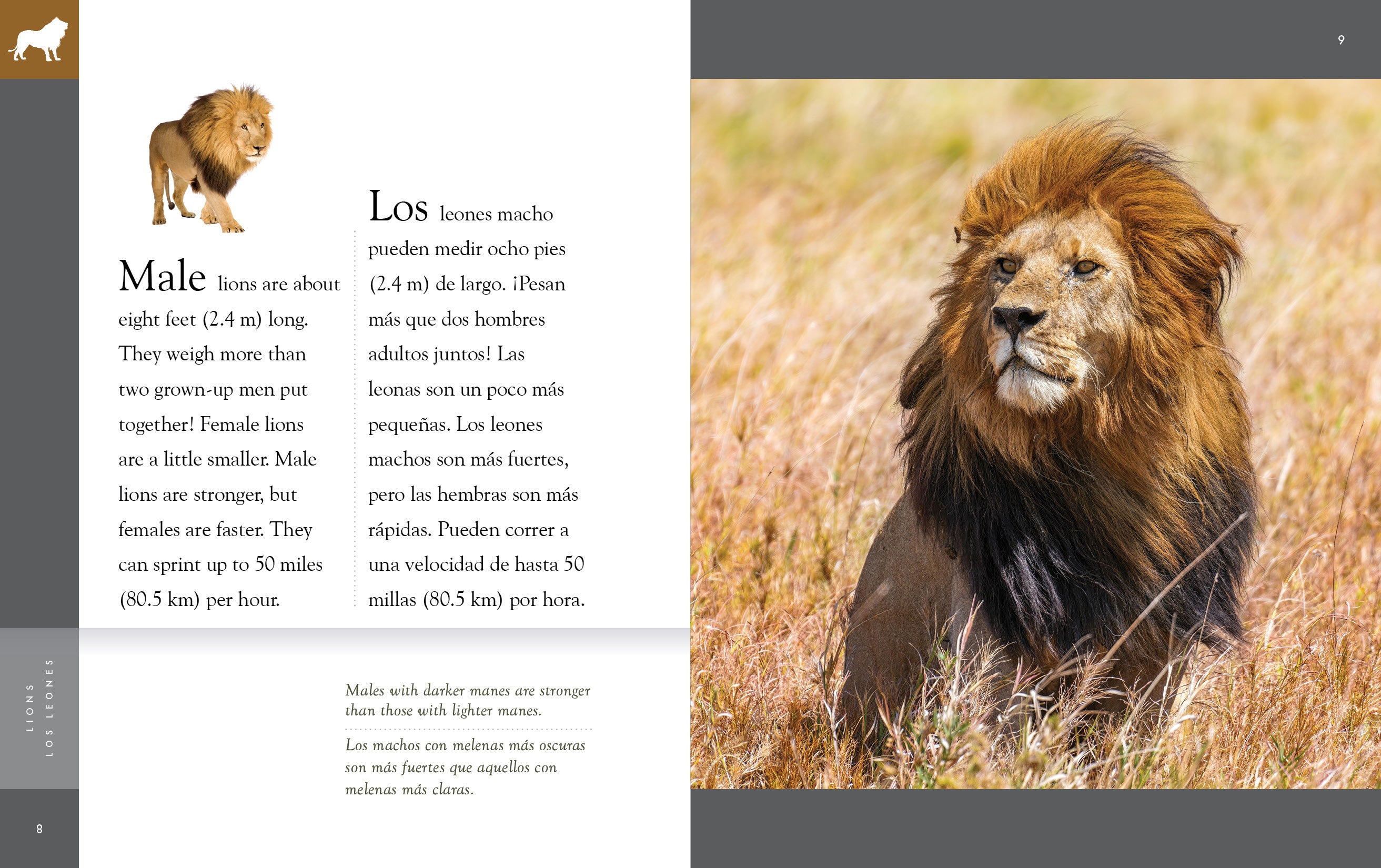 Km Two Miles In Km How Many 1o Miles In Km Marathon Kms In Miles