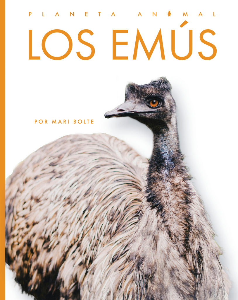 Los emús – The Creative Company