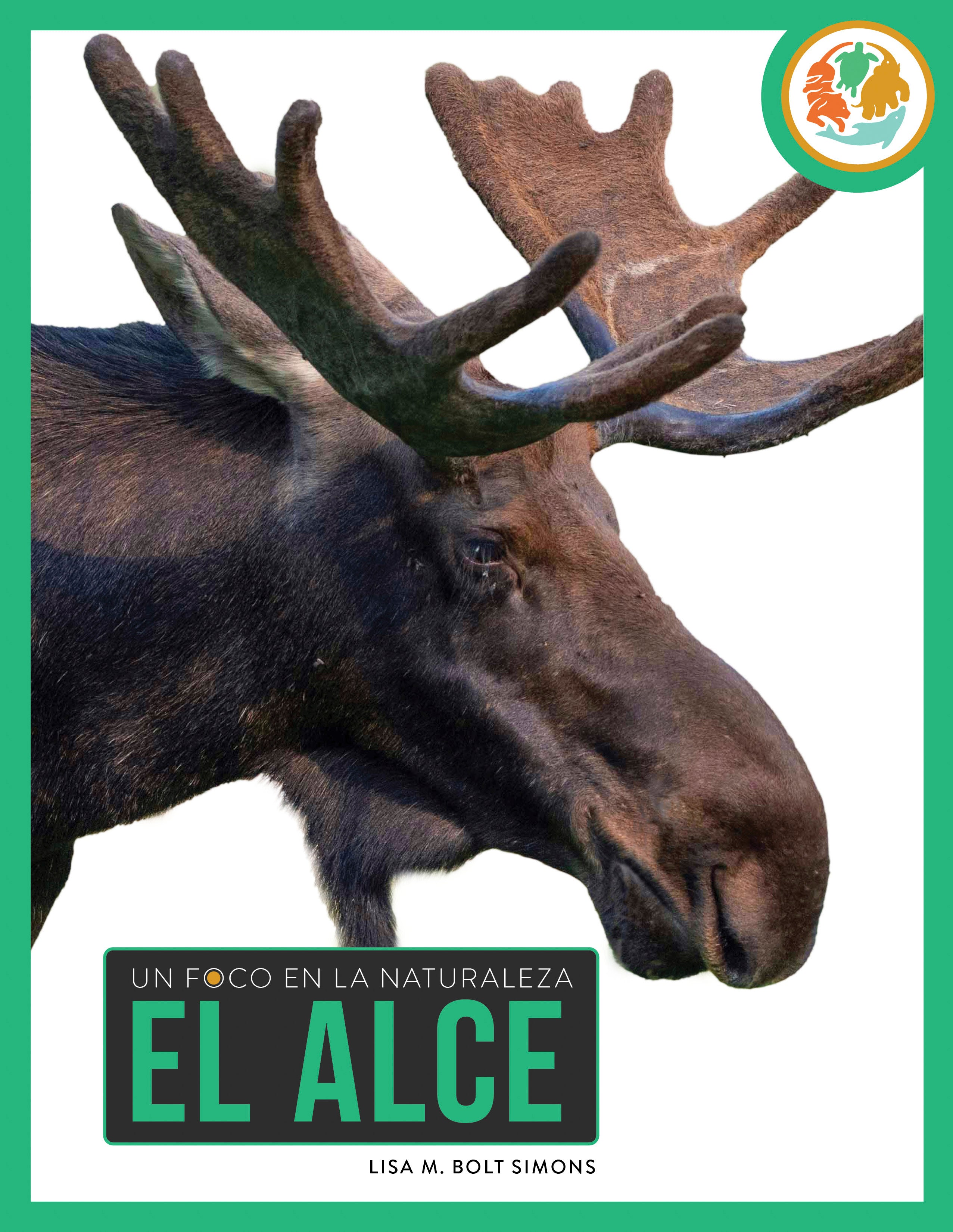 Alce Constructor El alce – The Creative Company