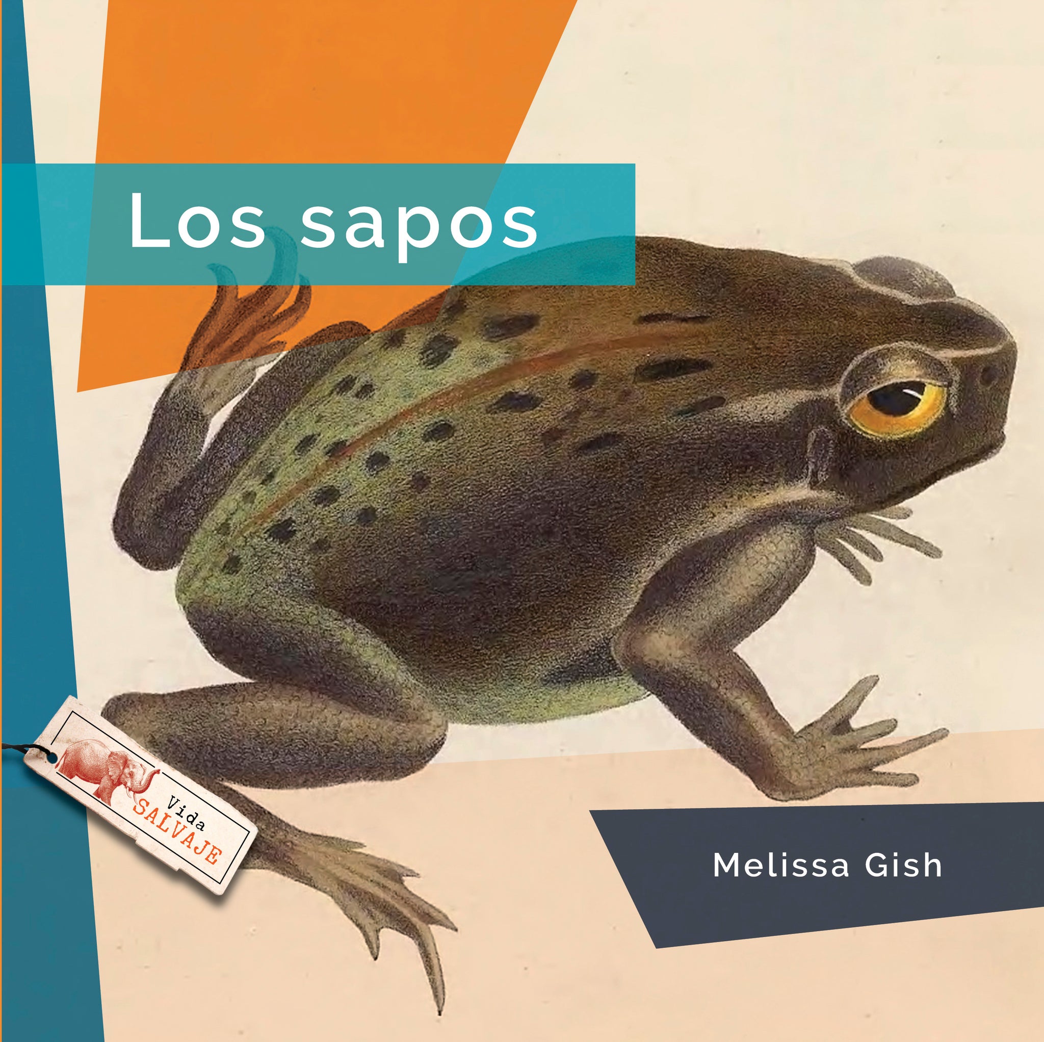 Los sapos – The Creative Company