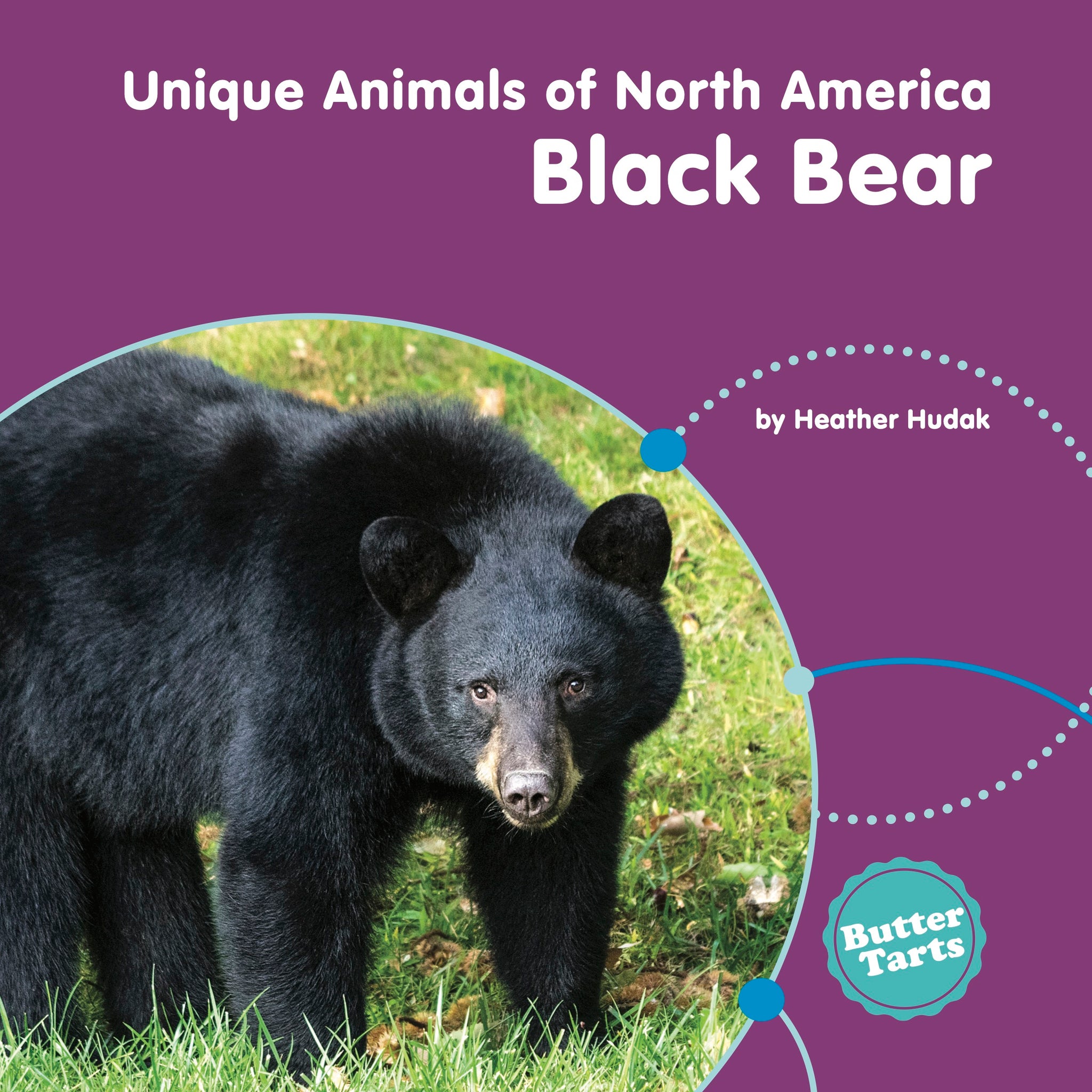 Unique Animals of North America – The Creative Company