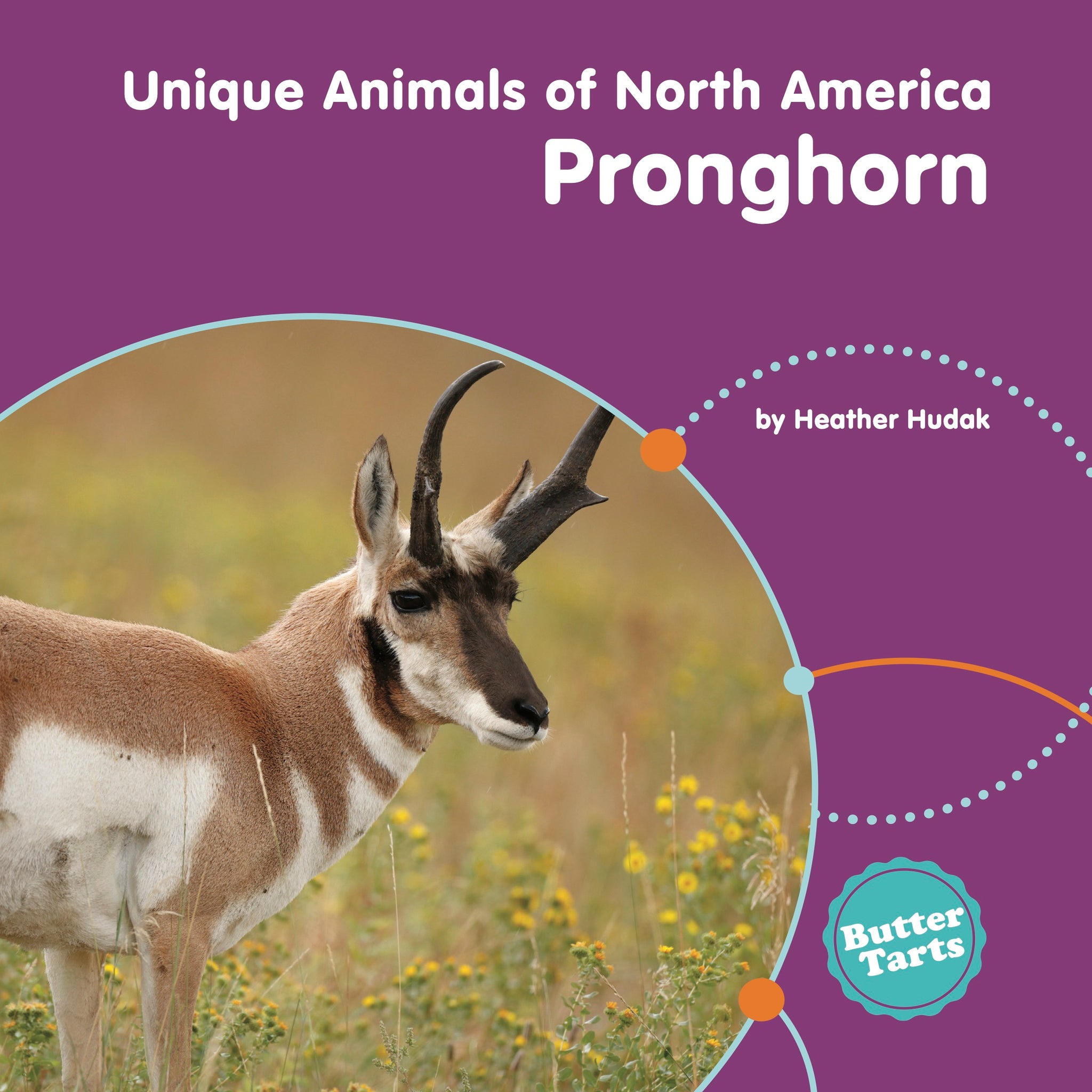 BEES_UQA_PRON_COVER_2048x.jpg?