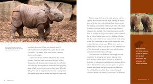 Living Wild - Classic Edition: Rhinoceroses