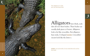 Amazing Animals (2014): Alligatoren