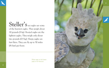 Laden Sie das Bild in den Galerie-Viewer, Erstaunliche Tiere (2014): Adler
