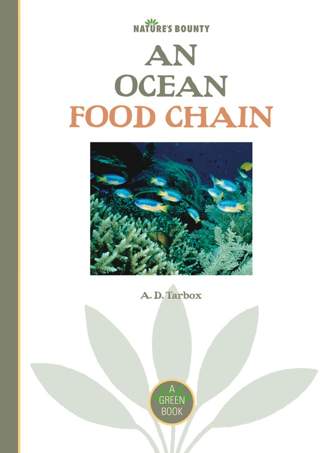 Nature's Bounty: An Ocean Food Chain