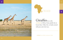 Laden Sie das Bild in den Galerie-Viewer, Amazing Animals (2014): Giraffen
