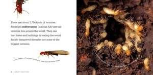 Creepy Creatures: Termites