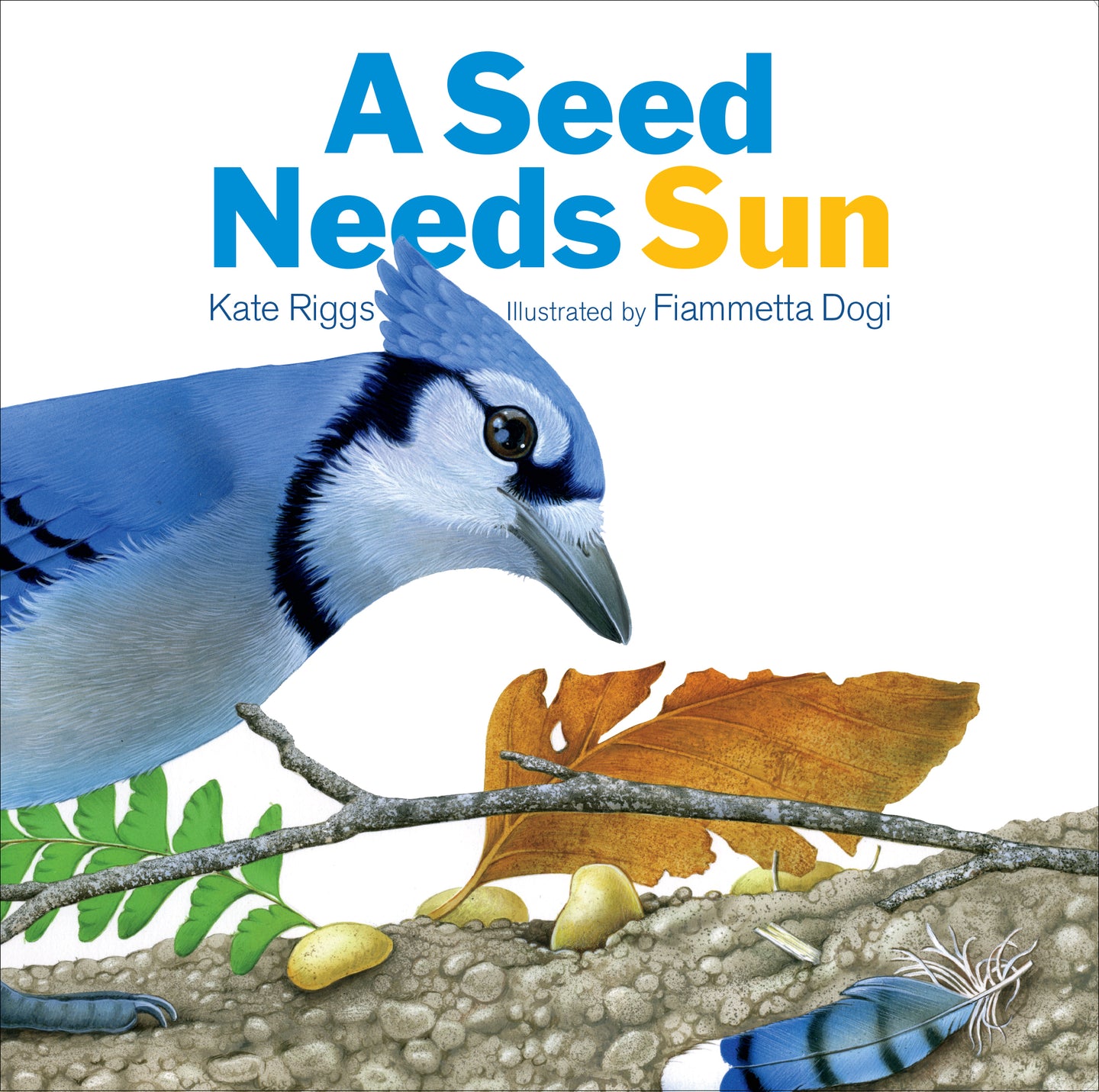 Seed Needs Sun, A