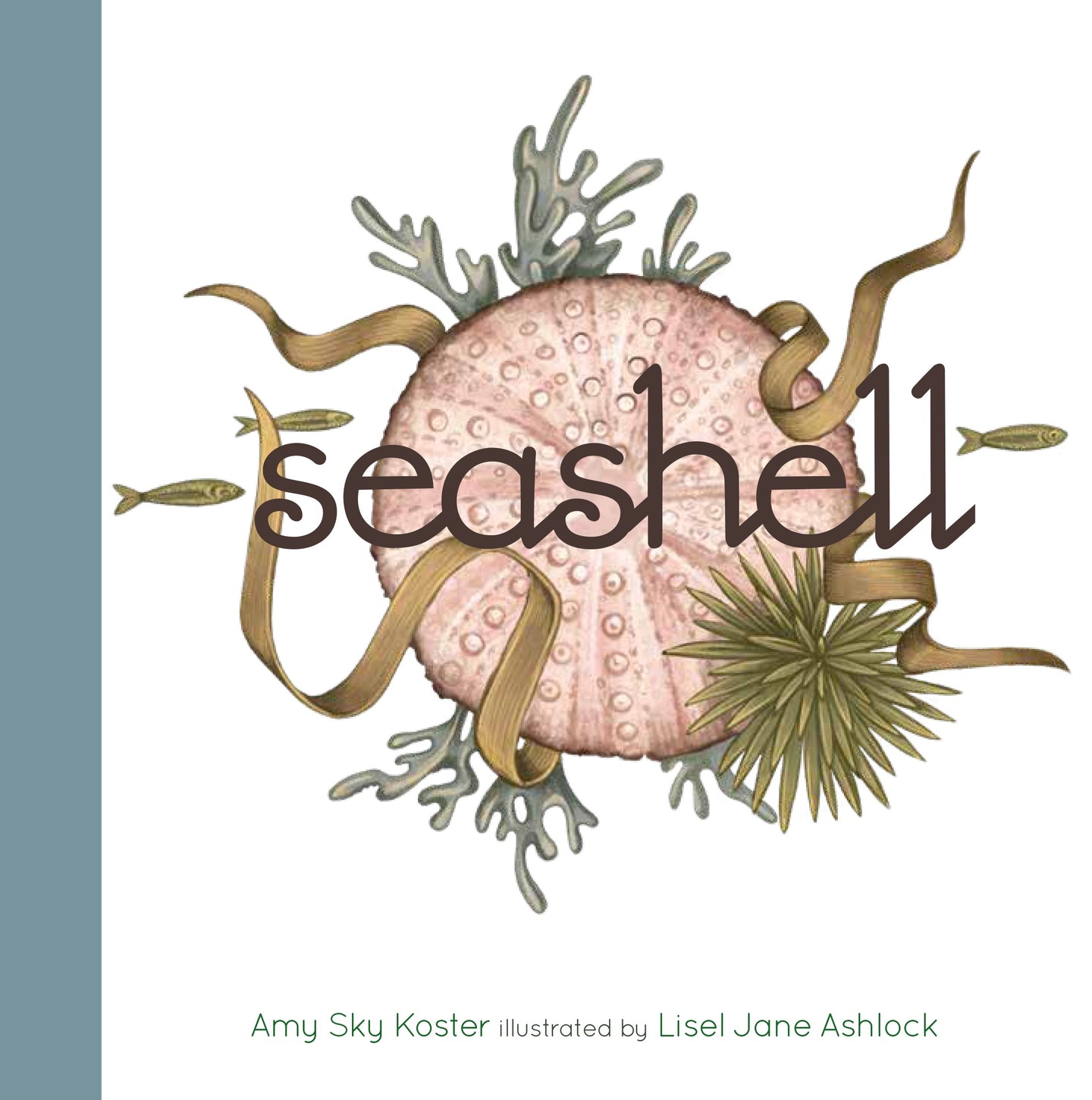 seashell  life. use it as inspiration.