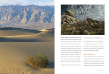 Laden Sie das Bild in den Galerie-Viewer, Nature&#39;s Bounty: Eine Nahrungskette in der Wüste
