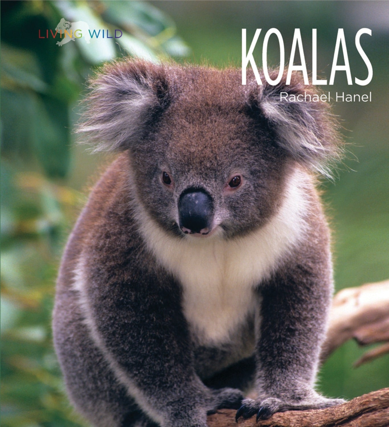 Living Wild - Classic Edition: Koalas