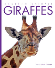 Laden Sie das Bild in den Galerie-Viewer, Amazing Animals (2014): Giraffen

