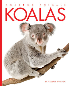Amazing Animals (2014): Koalas