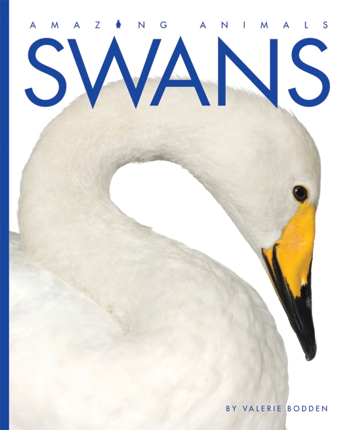 Amazing Animals (2014): Swans