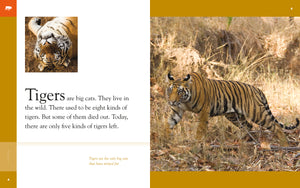 Amazing Animals (2014): Tigers