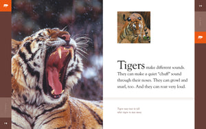 Amazing Animals (2014): Tiger
