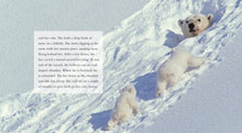 Laden Sie das Bild in den Galerie-Viewer, Living Wild - Classic Edition: Eisbären
