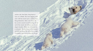 Living Wild - Classic Edition: Polar Bears