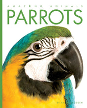 Laden Sie das Bild in den Galerie-Viewer, Amazing Animals (2014): Papageien
