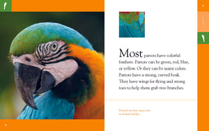 Amazing Animals (2014): Papageien