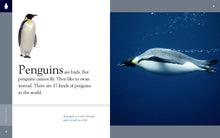 Laden Sie das Bild in den Galerie-Viewer, Amazing Animals (2014): Pinguine
