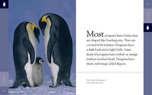 Amazing Animals (2014): Penguins