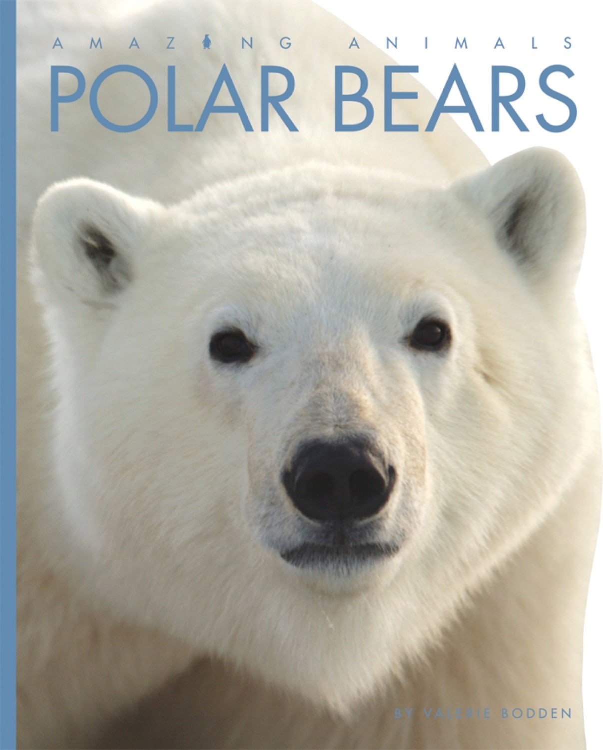 Amazing Animals (2014): Eisbären