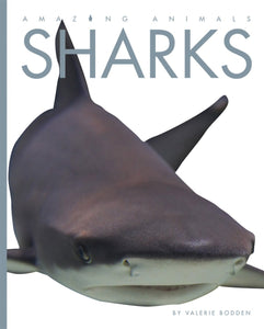 Amazing Animals (2014): Sharks