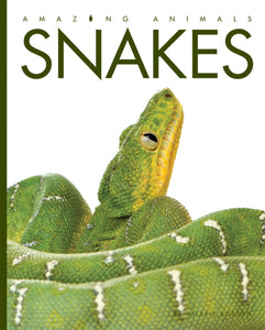 Amazing Animals (2014): Snakes