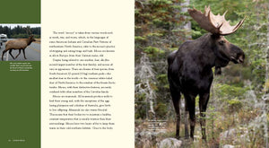 Living Wild - Classic Edition: Moose