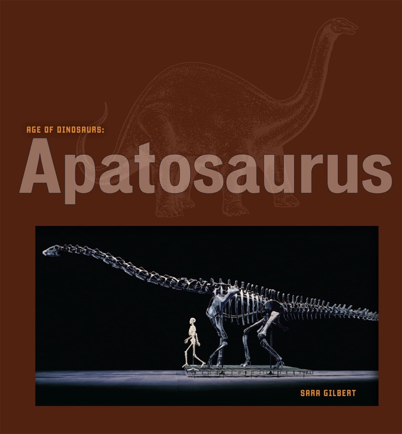 Zeitalter der Dinosaurier: Apatosaurus