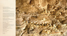 Cargar imagen en el visor de la galería, Age of Dinosaurs: Stegosaurus
