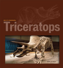 Laden Sie das Bild in den Galerie-Viewer, Zeitalter der Dinosaurier: Triceratops

