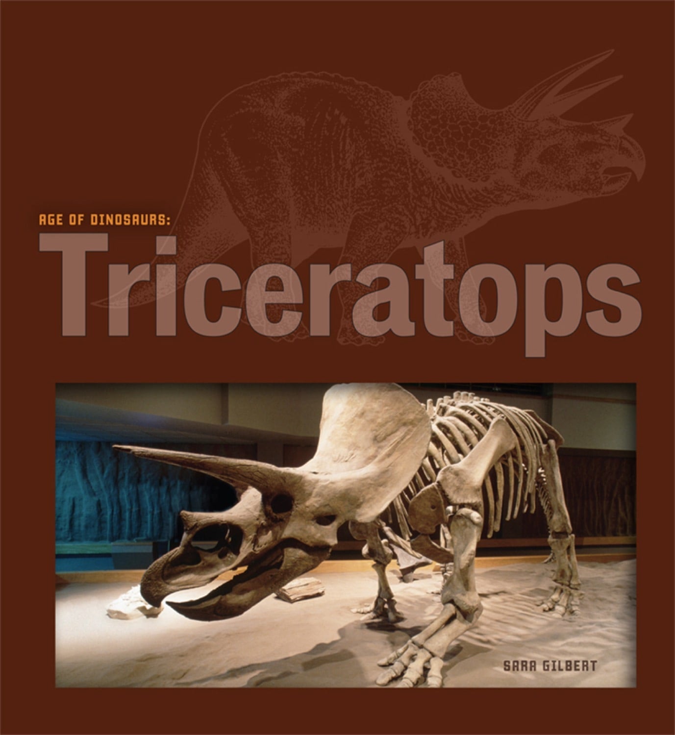 Zeitalter der Dinosaurier: Triceratops